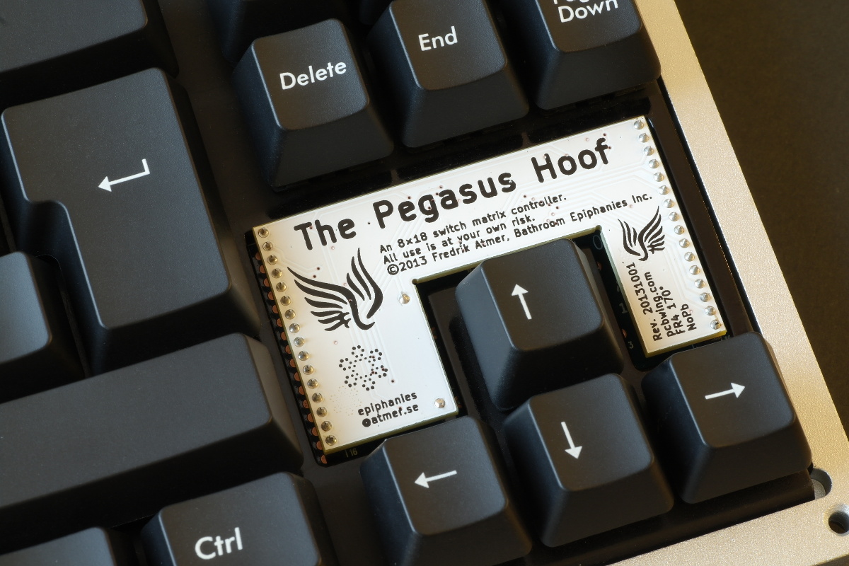 Pegasus Hoof