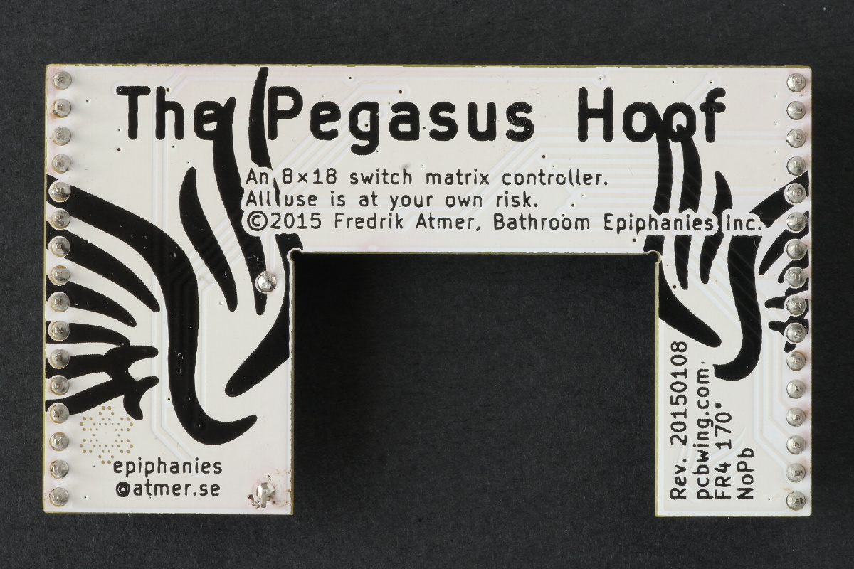 Pegasus Hoof