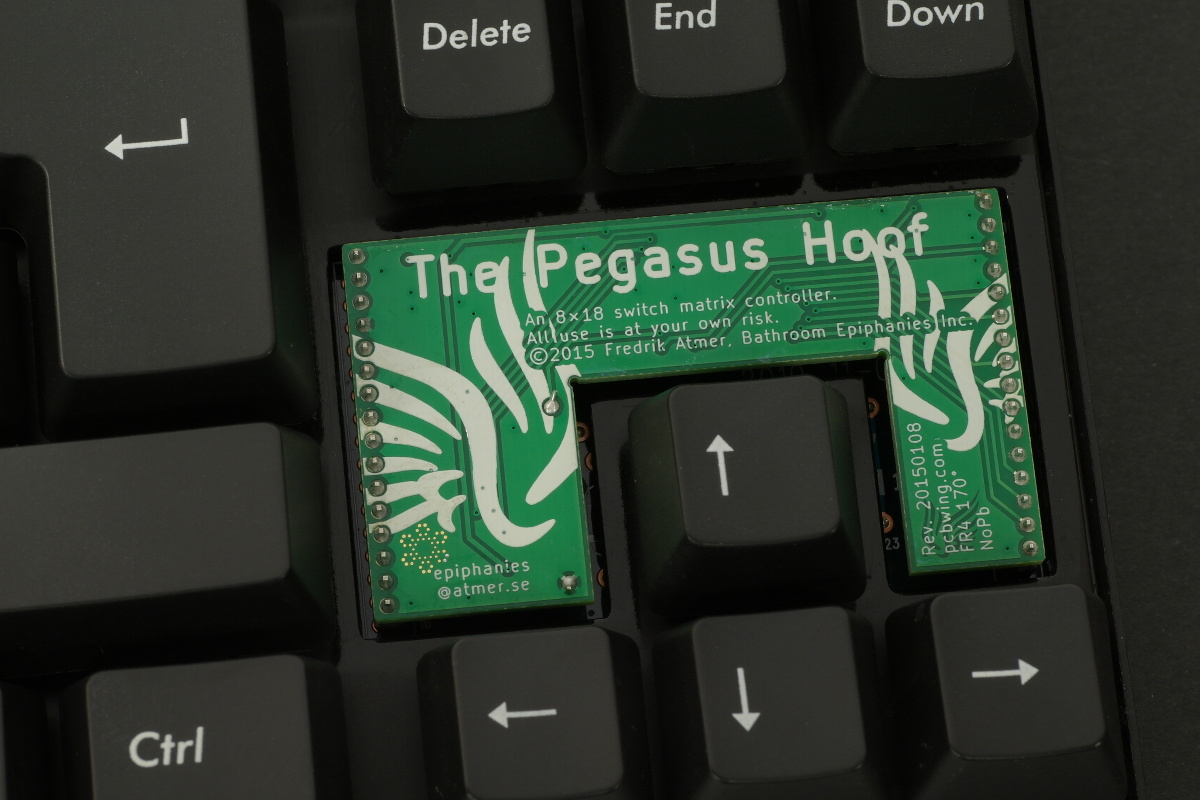 Pegasus Hoof
